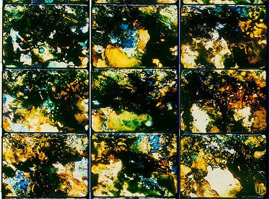 Defense of the Poor Image, photo 1